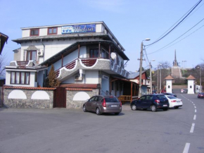  Pensiunea Melisa  Тулче